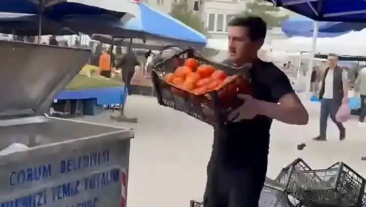 Pazarcının Domatesleri Çöpe Atmasıyla Patlayan Ceza: Rekor Miktar!