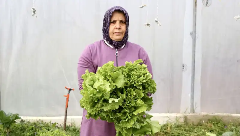 Emekli Oldu, Devlet Desteğiyle Hayalini Gerçekleştirip Memleketine Döndü