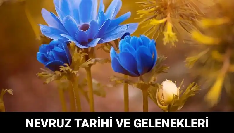 Nevruz Bayramı: Gelenekleri ve Kutlama Zamanı Hakkında Her Şey