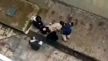 Üniversite Kampüsünde Köpek Paniği: Öğrenci 4 Metreden Betona Düştü!