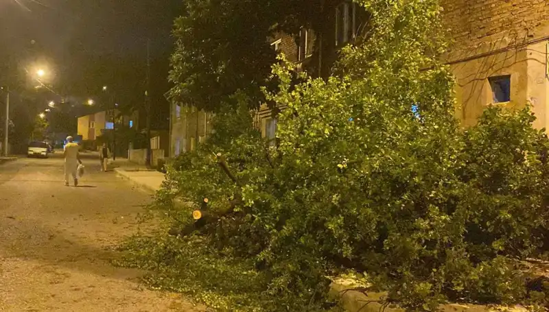 Karabük'te Nefes Kesen Fırtına Etkisini Gösterdi!