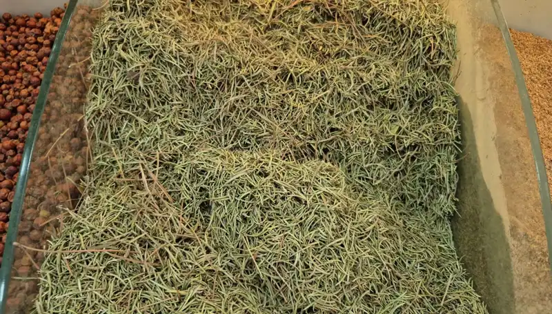 Yaz Mevsiminde İnternette Satışları Artan Tehlikeli Ürünler
