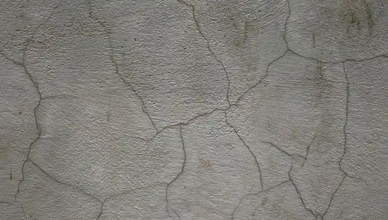 Canlı Beton İle Yapılar Kendini Onarıyor: İnşaat Sektöründe Devrim