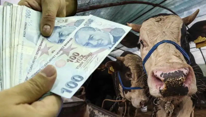 Kurban Bayramı Öncesi Maaşlar Yatacak mı? Hayat Kurtaran Detaylar!
