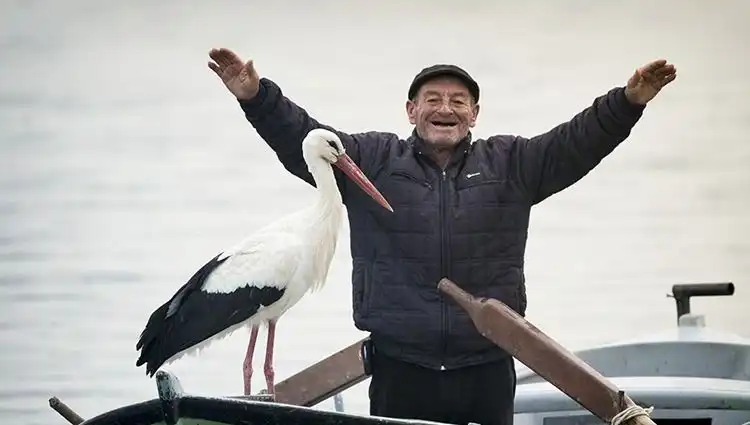 Yaren Leylek Geldi Mi? Alper Tüydeş’ten Canlı Yayın İle Doğa Harikası!