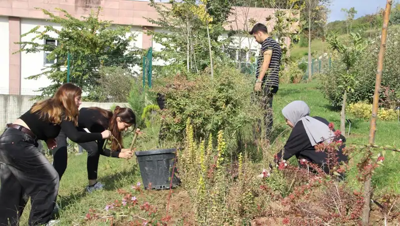 Düzce’de Başlayan Bir Rüya: Dünya Çapında Tanınan Efsanevi Proje