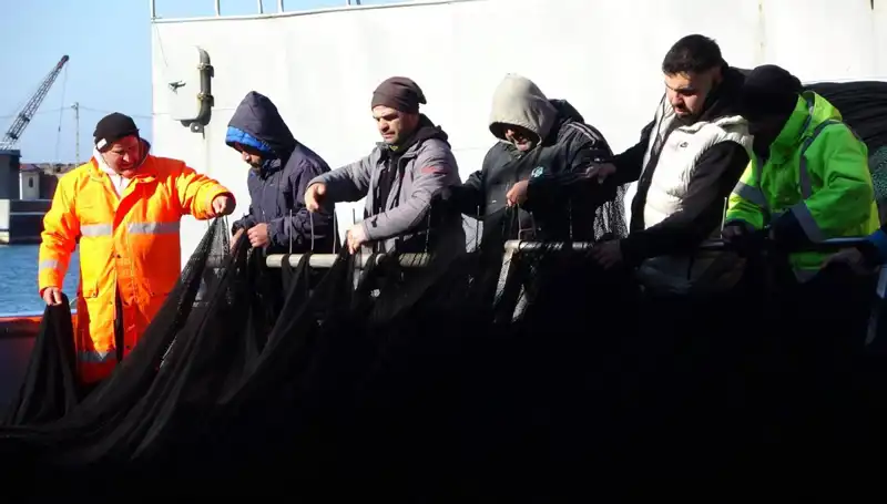 Hamsi Stoku Tükendi: Balıkçılar Erken Sezona Veda Ediyor